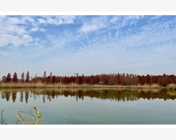吃什么果干对脾胃好？——了解中医养生，让生活更健康